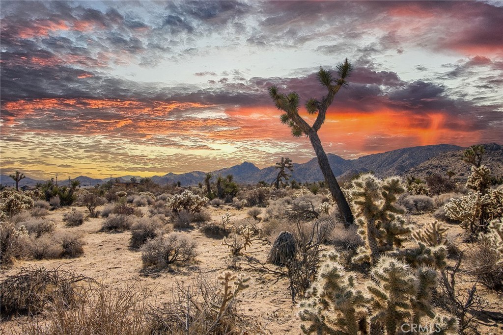 MLS #IV25023327 image #2