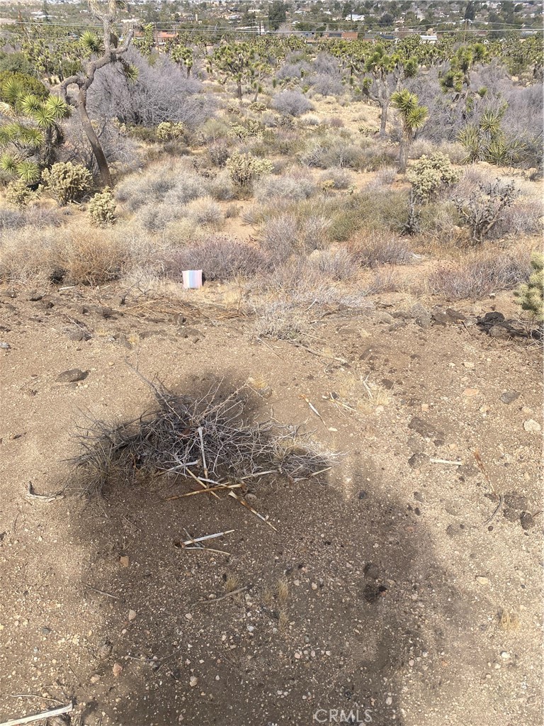 MLS #IV25044615 image #2