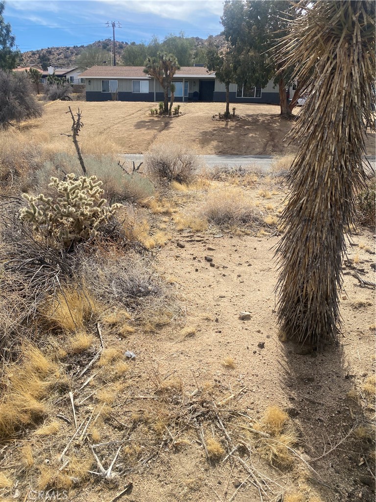 MLS #IV25044615 image #4