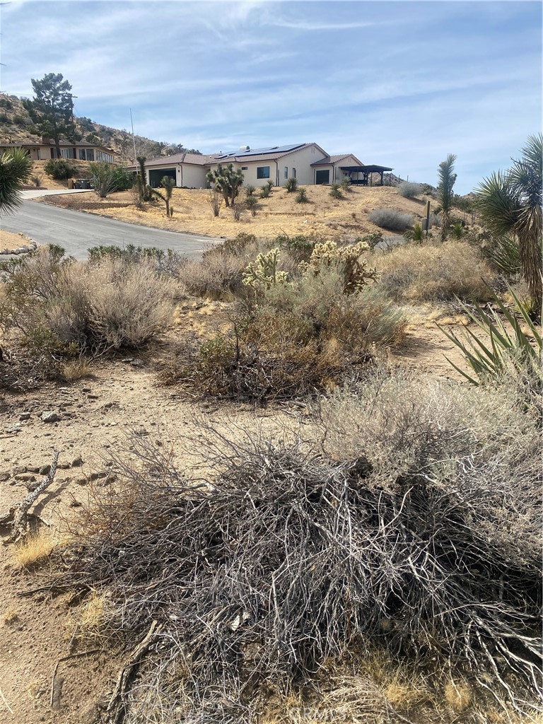 MLS #IV25044615 image #5