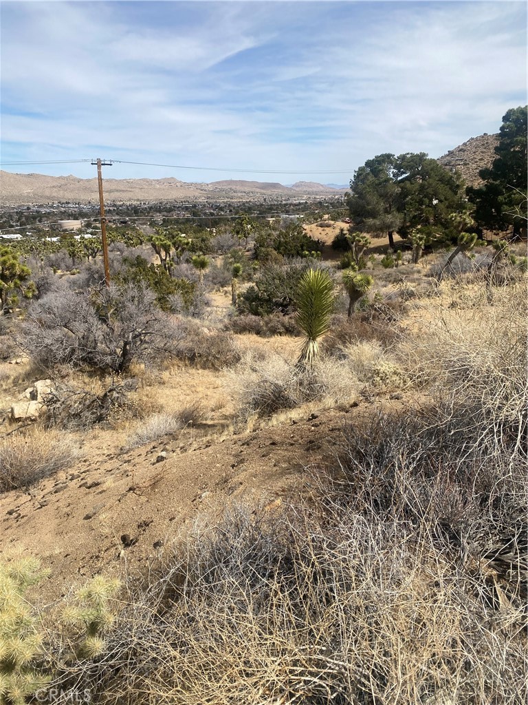 MLS #IV25044615 image #9