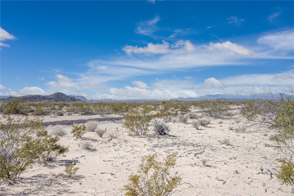 MLS #IV25062663 image #13