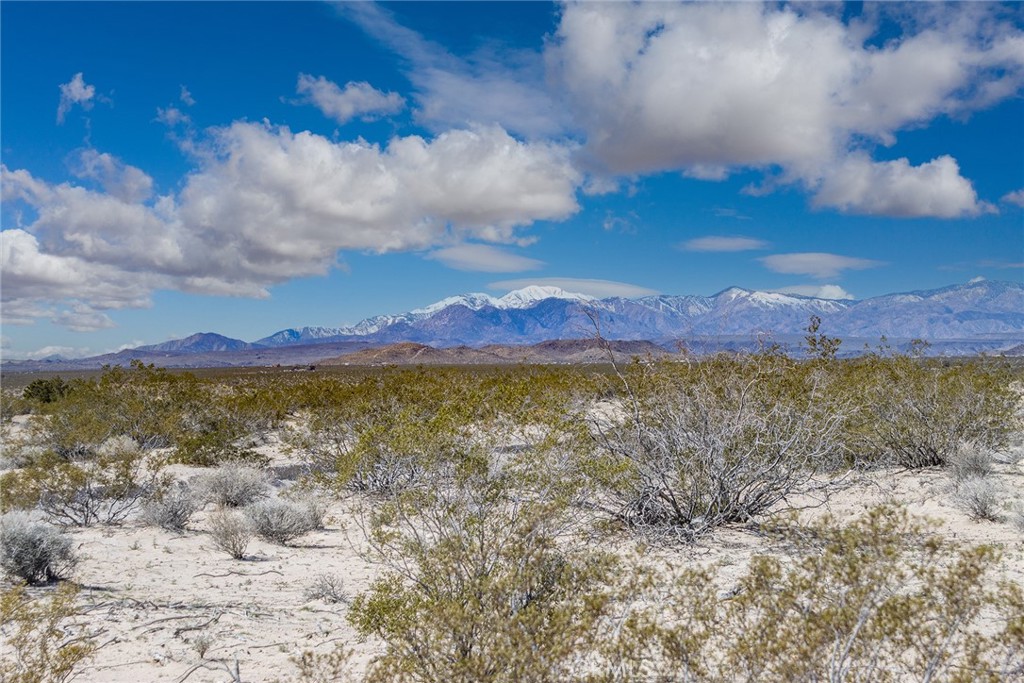 MLS #IV25062663 image #14