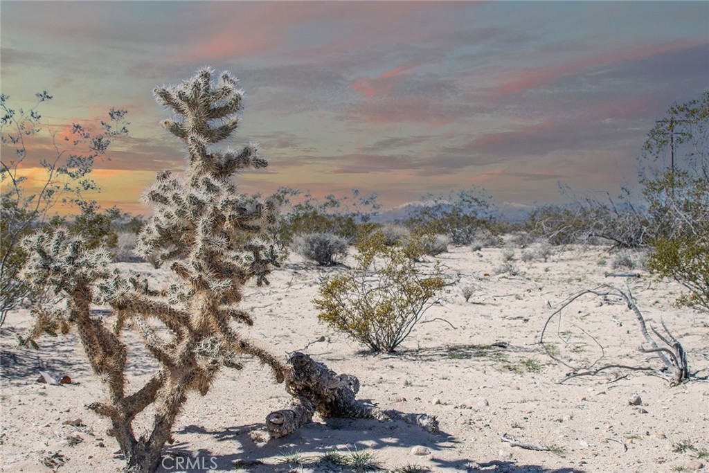 MLS #IV25062663 image #16