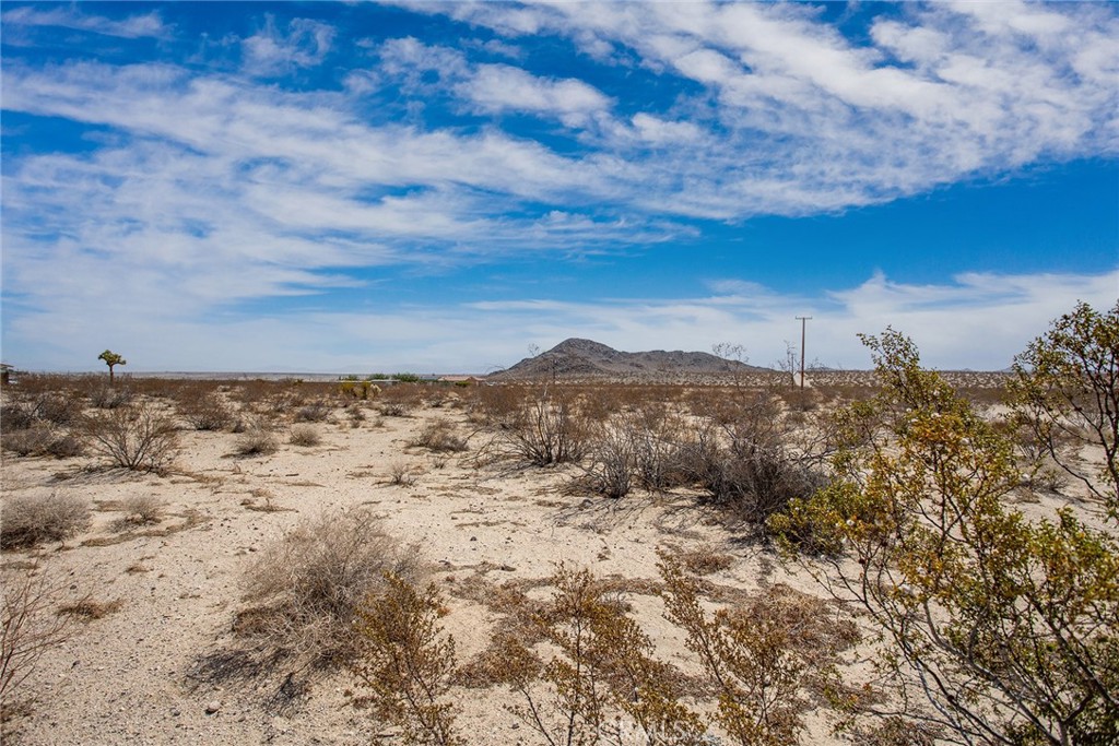 MLS #IV25071875 image #10