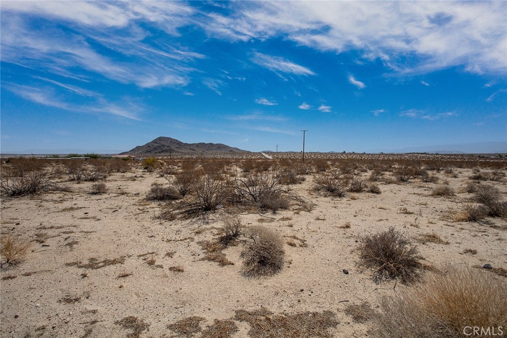 MLS #IV25071875 image #8