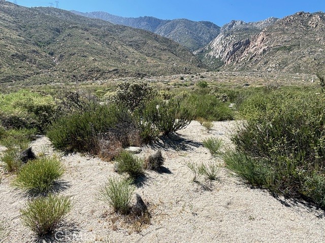 MLS #IV25085287 image #2