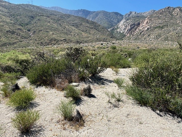 MLS #IV25085287 image #3