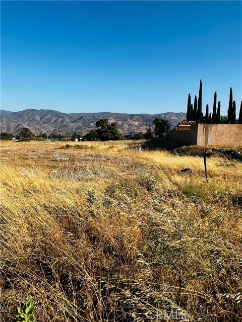 MLS #IV25149965 image #2