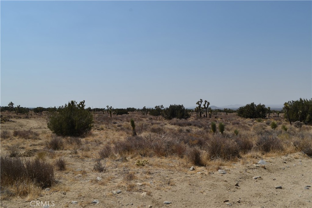 MLS #IV25163325 image #1