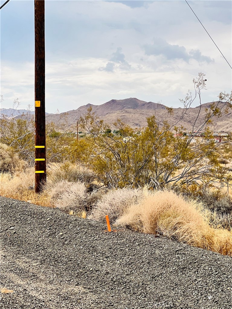 MLS #IV25178984 image #5