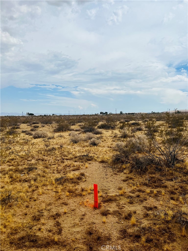 MLS #IV25178984 image #6