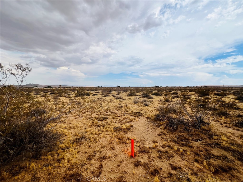 MLS #IV25178984 image #7