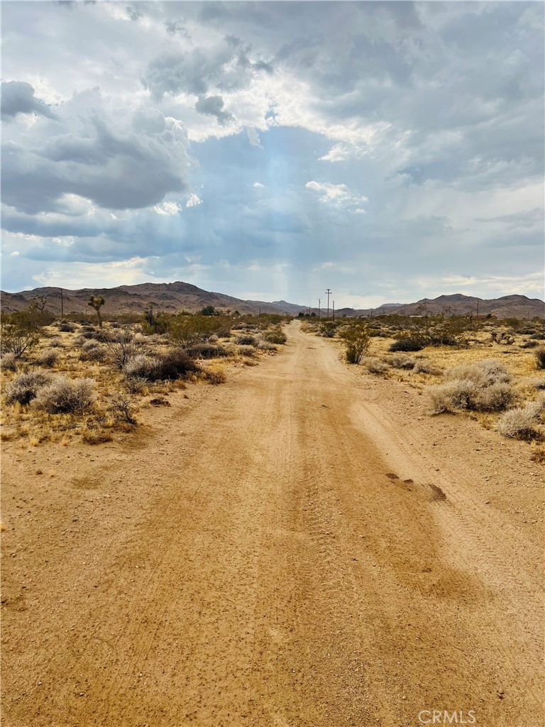 MLS #IV25178984 image #8