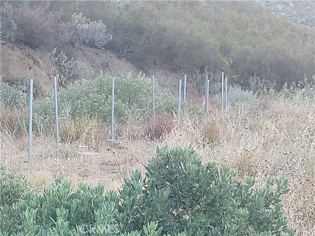 MLS #IV25196430 image #1