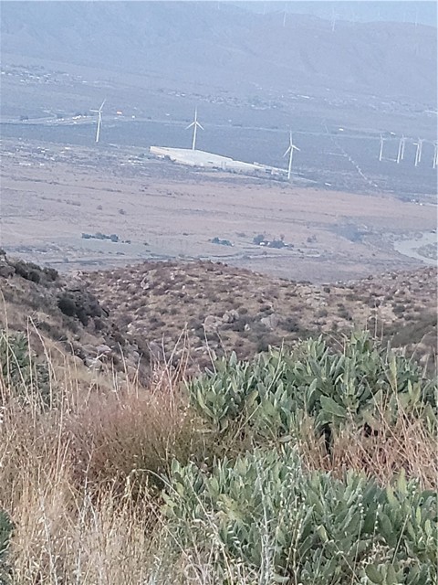 MLS #IV25196430 image #12