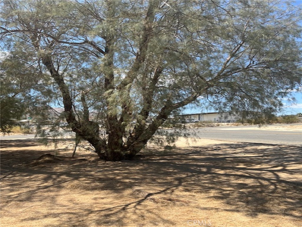 MLS #IV25196537 image #8