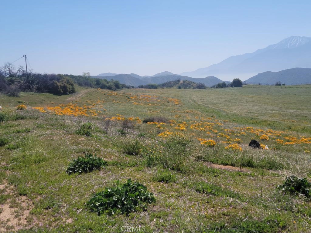 MLS #IV25229562 image #16