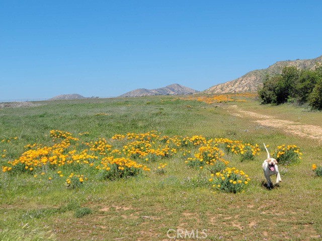 MLS #IV25247505 image #4