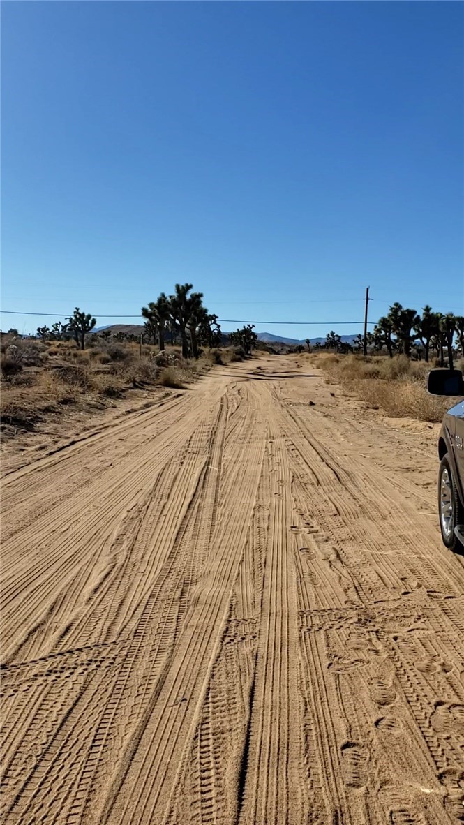 MLS #JT21011776 image #2