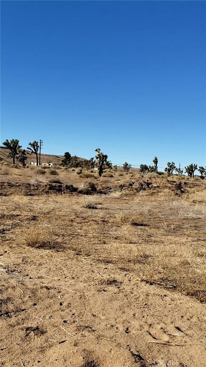 MLS #JT21011776 image #3