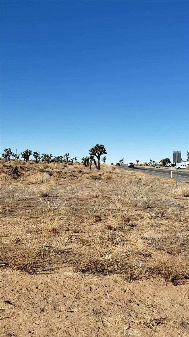 MLS #JT21011776 image #4