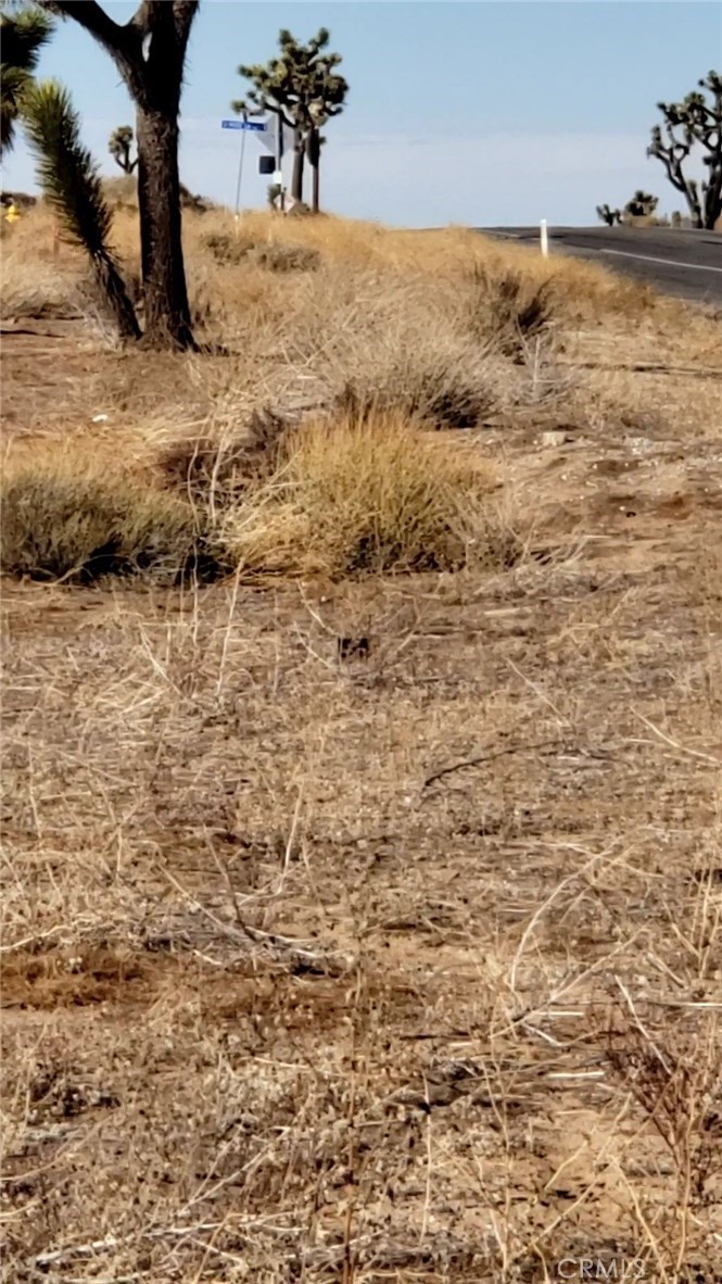 MLS #JT21011776 image #5