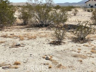 MLS #JT21191137 image #3