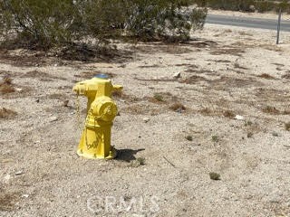 MLS #JT21191137 image #4