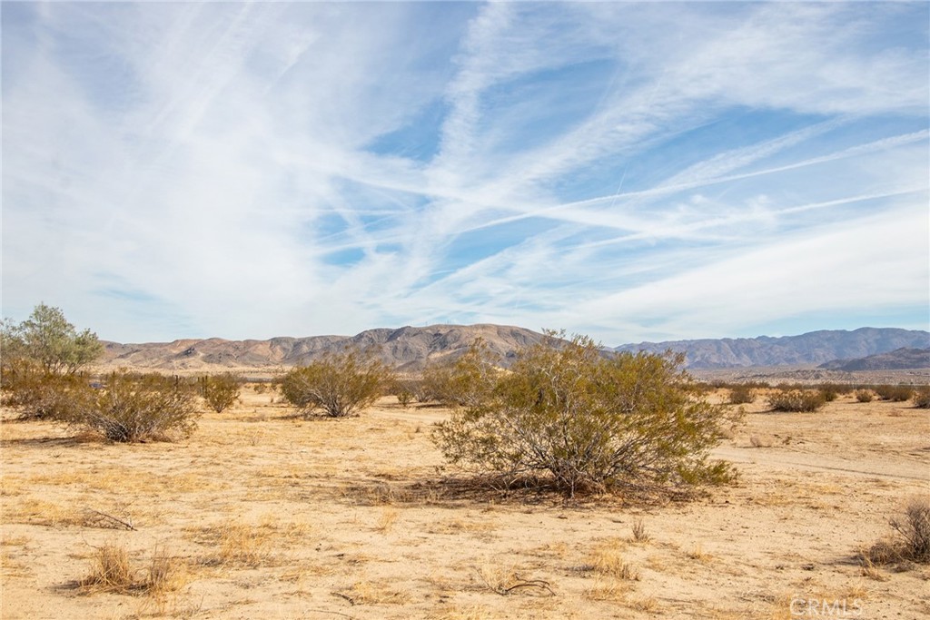 MLS #JT21252691 image #13