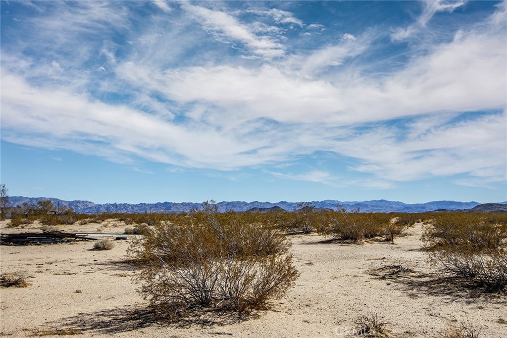 MLS #JT22047744 image #11