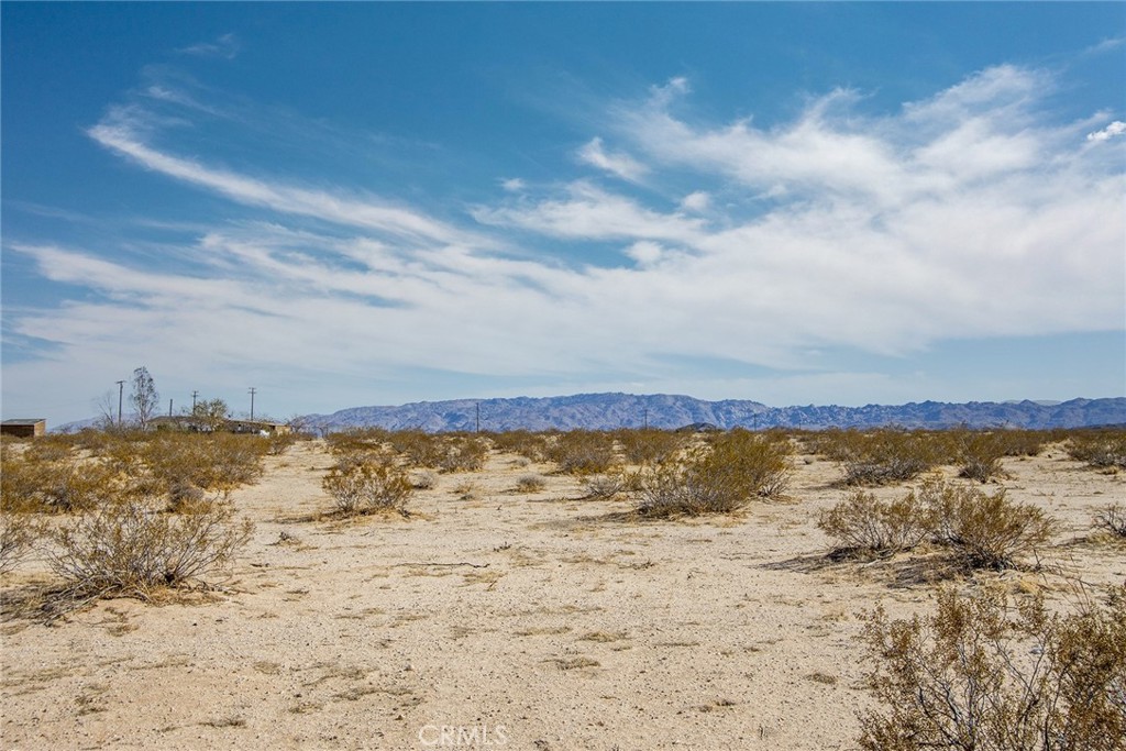 MLS #JT22047744 image #6