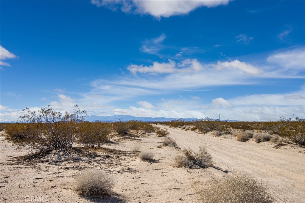 MLS #JT22047750 image #10