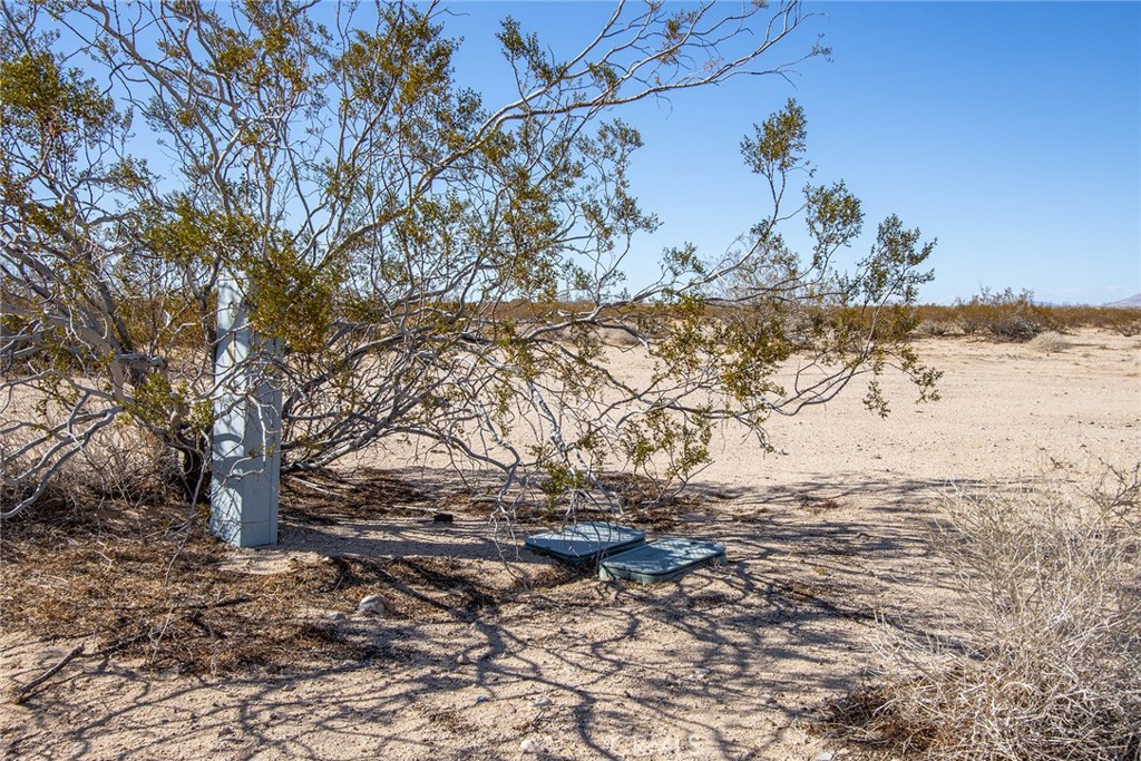 MLS #JT22047750 image #12