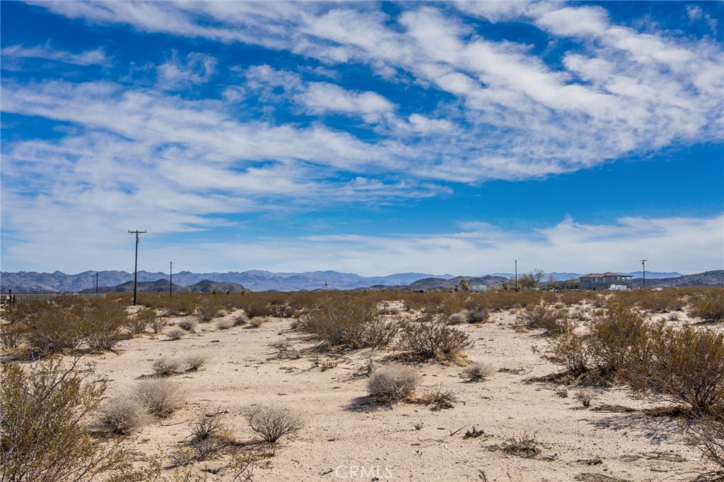 MLS #JT22047750 image #6