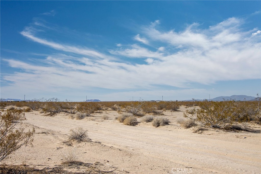 MLS #JT22047750 image #8