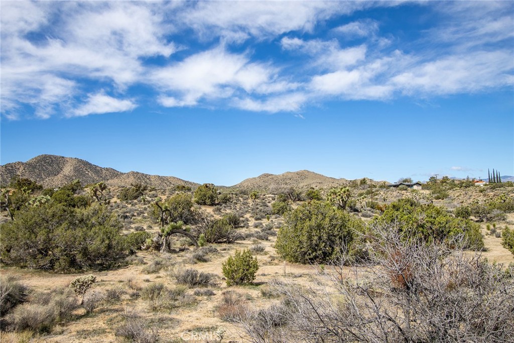 MLS #JT22065910 image #10