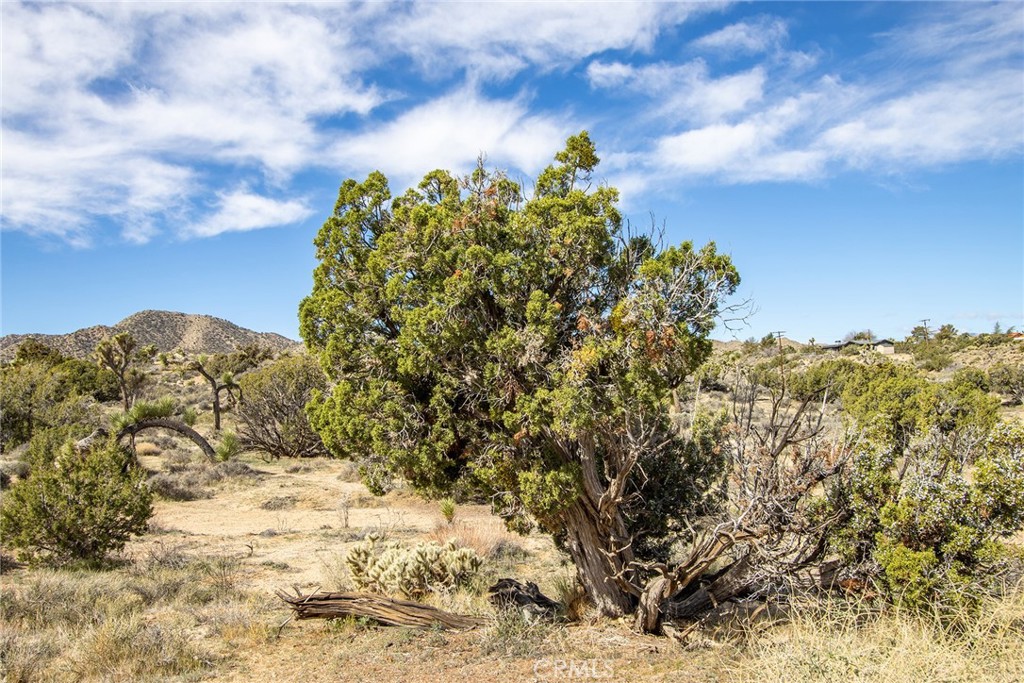 MLS #JT22065910 image #12