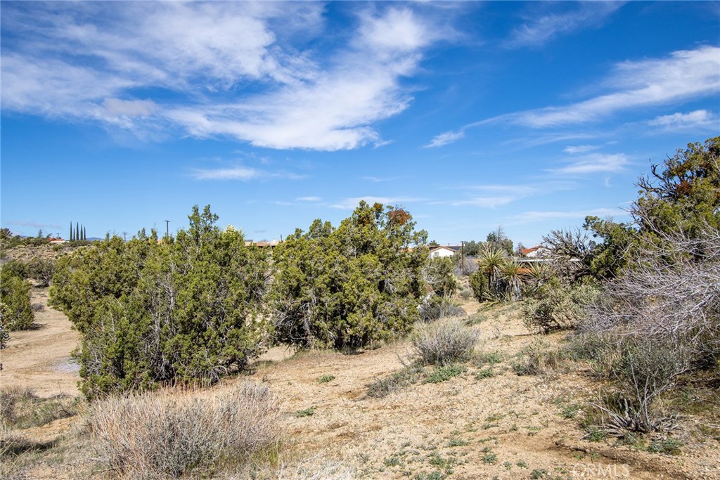 MLS #JT22065910 image #13