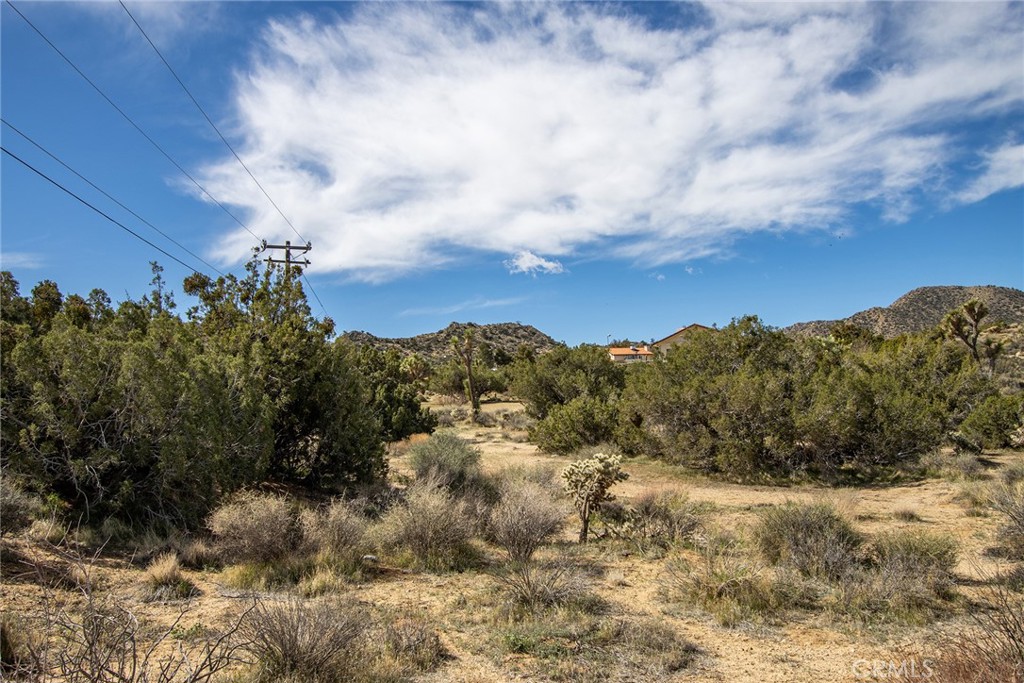 MLS #JT22065910 image #14