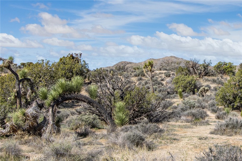 MLS #JT22065910 image #15