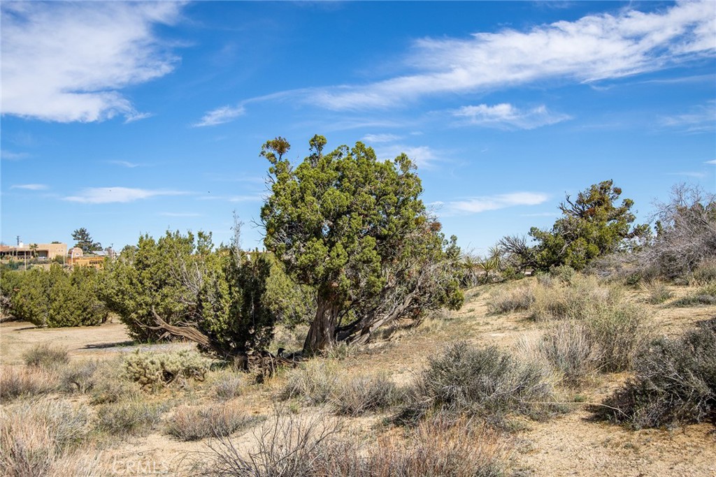 MLS #JT22065910 image #16