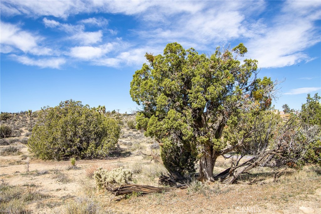 MLS #JT22065910 image #17