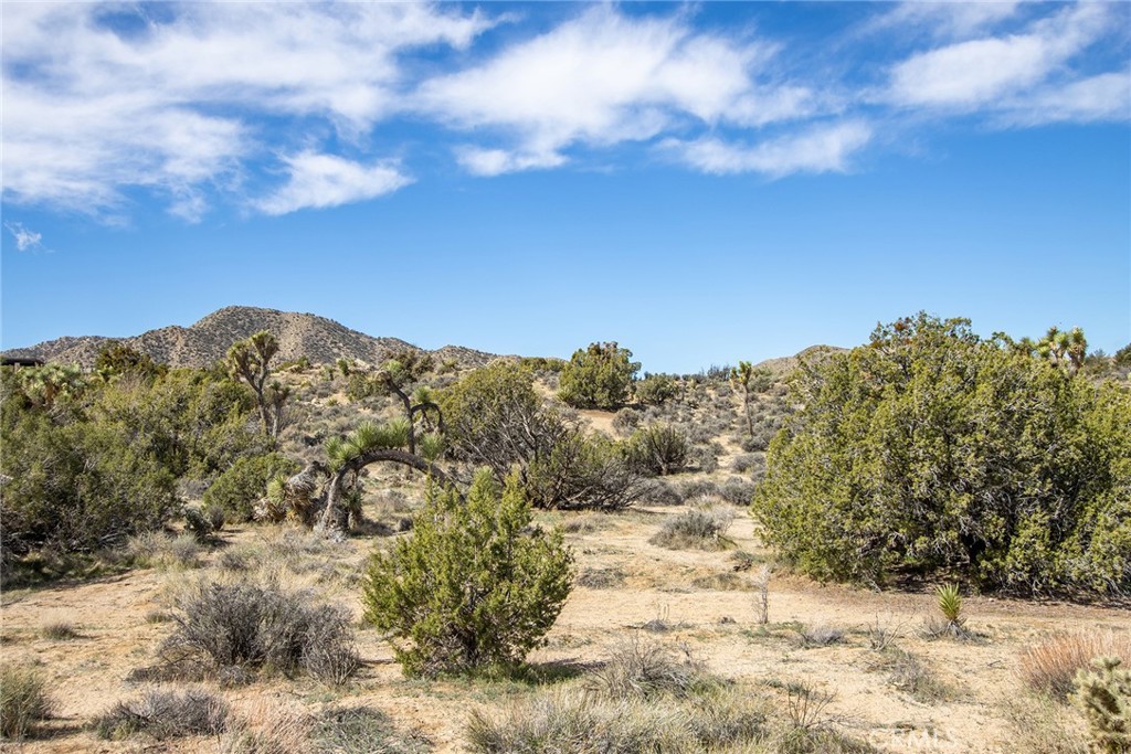 MLS #JT22065910 image #18