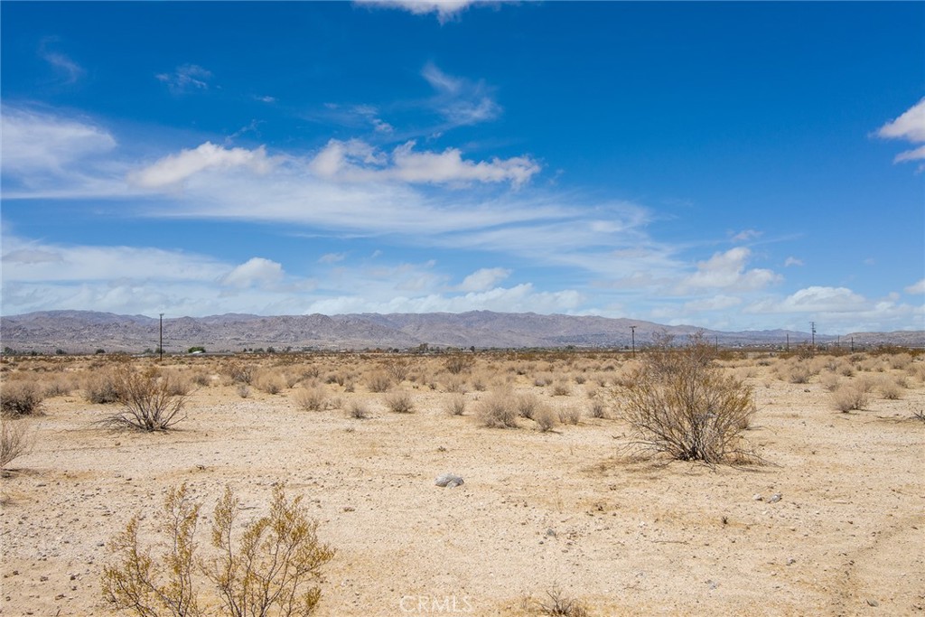 MLS #JT22139228 image #13