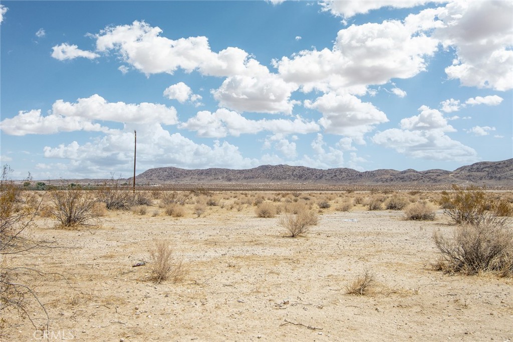 MLS #JT22139228 image #4