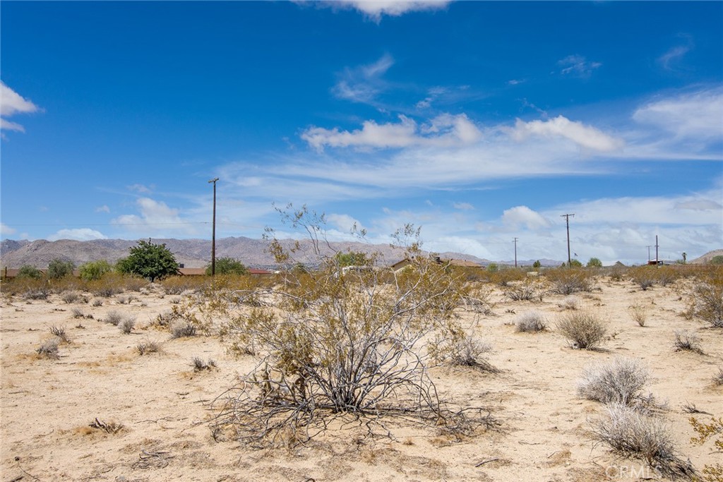 MLS #JT22139243 image #11