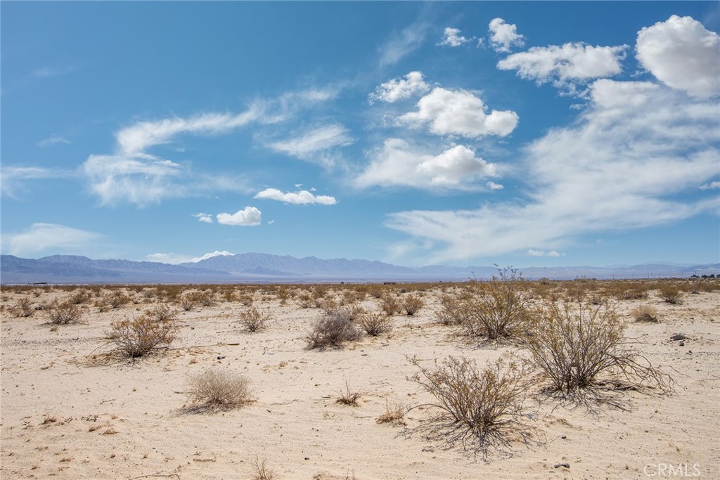 MLS #JT22139255 image #10