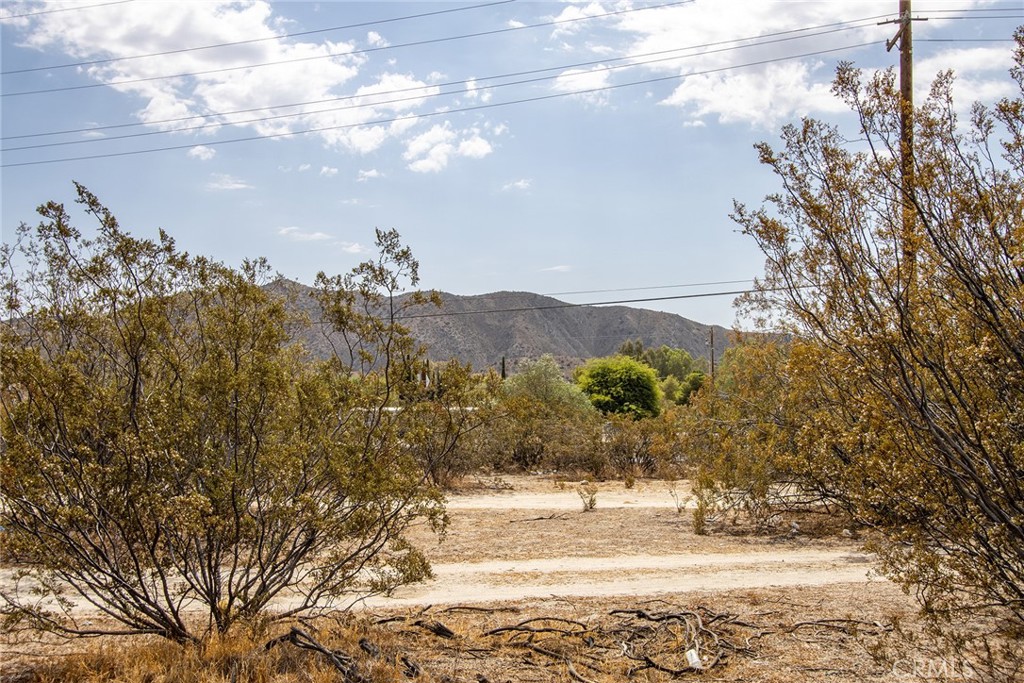 MLS #JT22185497 image #12