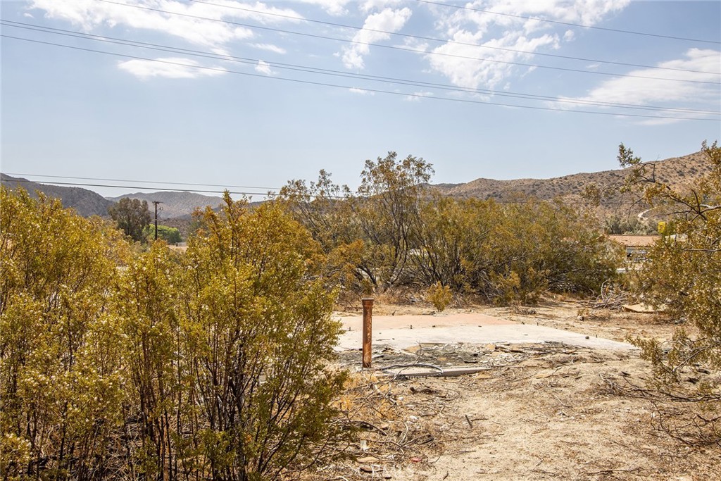 MLS #JT22185497 image #14